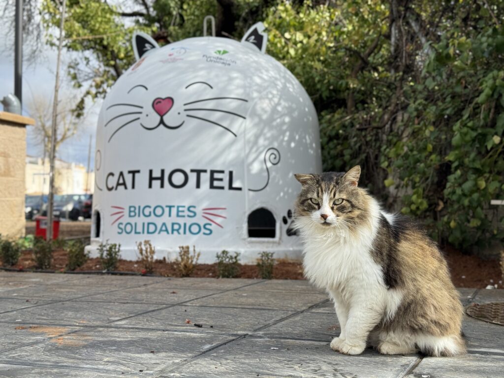 Cat sitting outside a Bottle bank converted into a cat home.