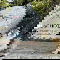 Cat sitting outside a Bottle bank converted into a cat home.