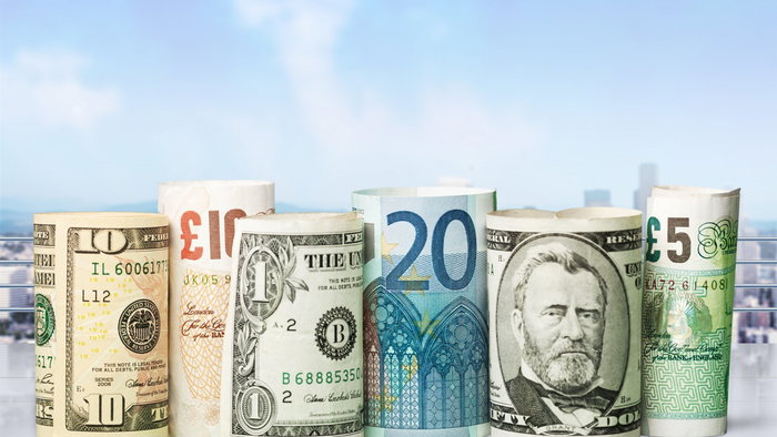 The euro remained well supported over the past month.