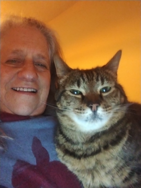 This Pet-sitter Loves Cats, Always Choosing A Cat-sit First