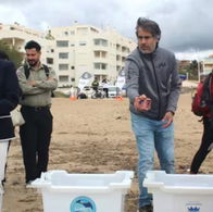 Protect the turtles!