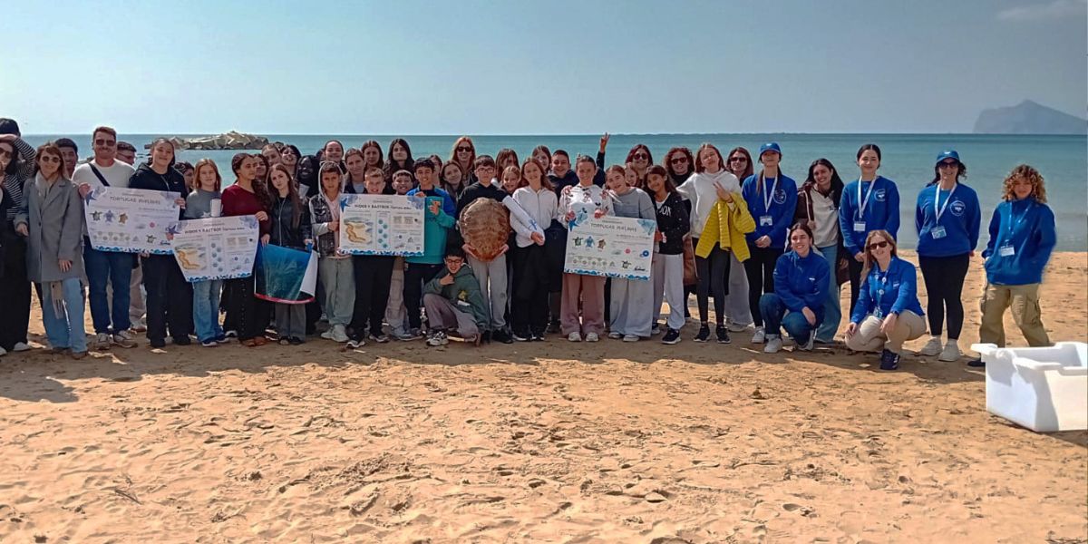 Schoolchildren Lead Emotional Sea Turtle Release As Education And Conservation Unite