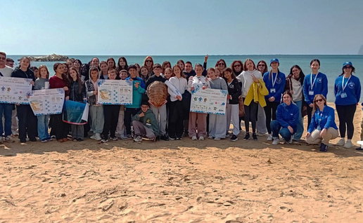 School children release turtle