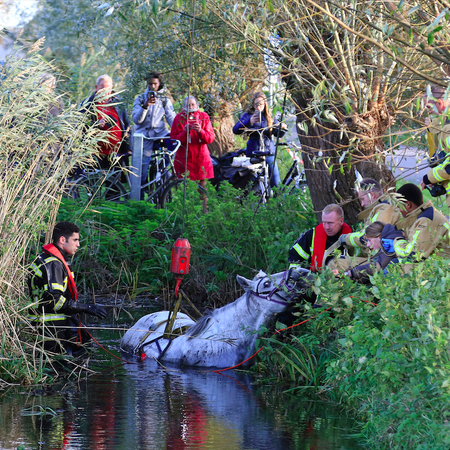 Tenant and landlord signing rental contract in Spain amid proposed 2 percent rent cap