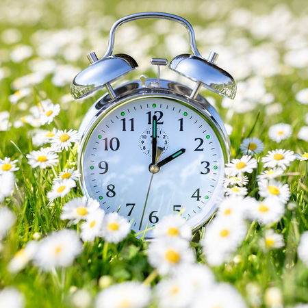Alarm clock in a spring flower field symbolising Spain’s daylight saving time change.