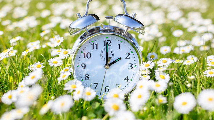 Alarm clock in a spring flower field symbolising Spain’s daylight saving time change.