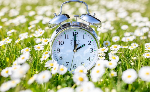 Alarm clock in a spring flower field symbolising Spain’s daylight saving time change.