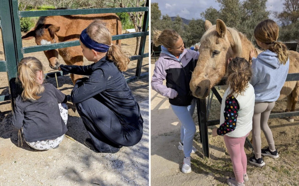 Easter weekend openings invite visitors to meet rescued horses at ARCH in Alhaurin el Grande