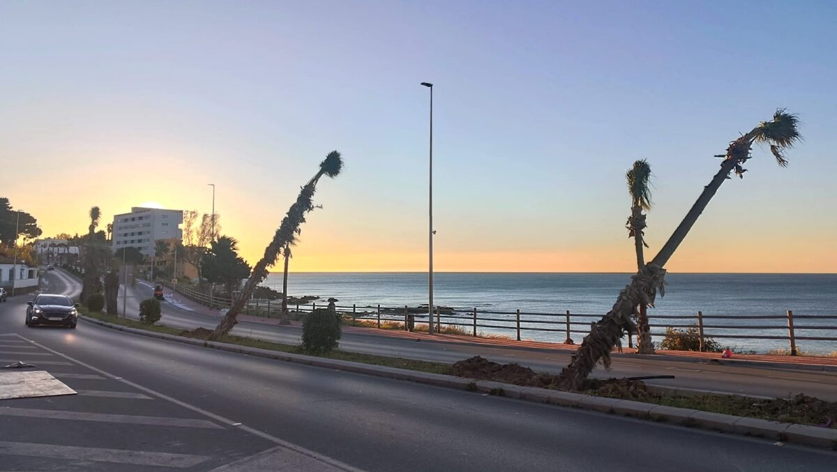 Benalmadena Celebrates Avenida Del Sol Reopening On Palm Sunday With A Slight Hiccup.