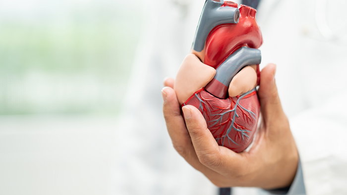 Cardiovascular disease CVD.