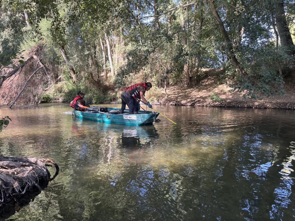 Removal of invasive species.