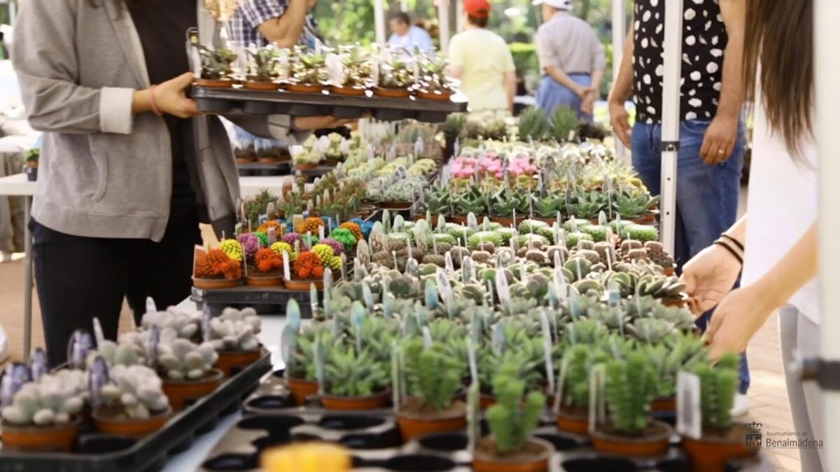 Plant Heaven In Benalmadena For The 19th Collectors’ Plant Fair In Stunning La Paloma Park.