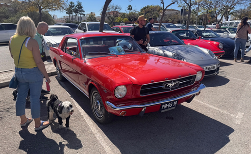 Cars and Coffee Meeting