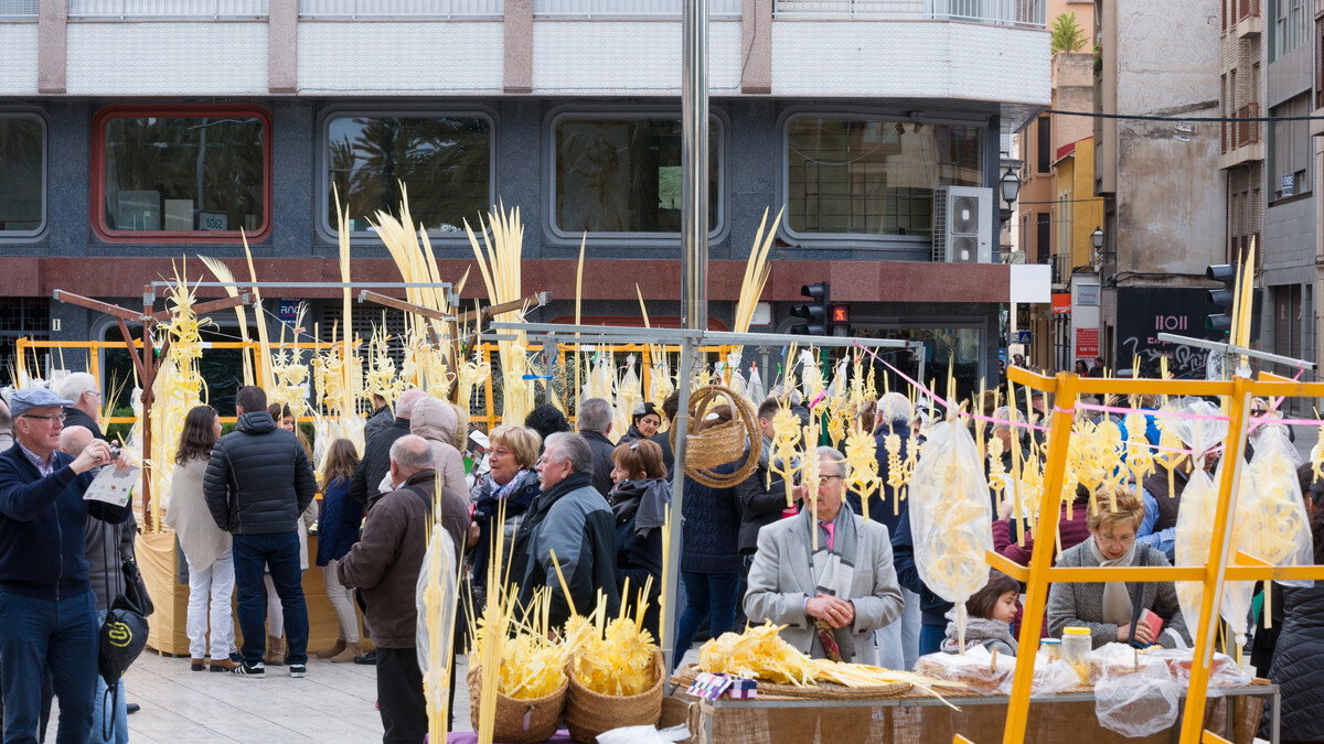 Elche sends iconic white palms to the Pope and Spanish Royal Family ahead of Palm Sunday celebrations