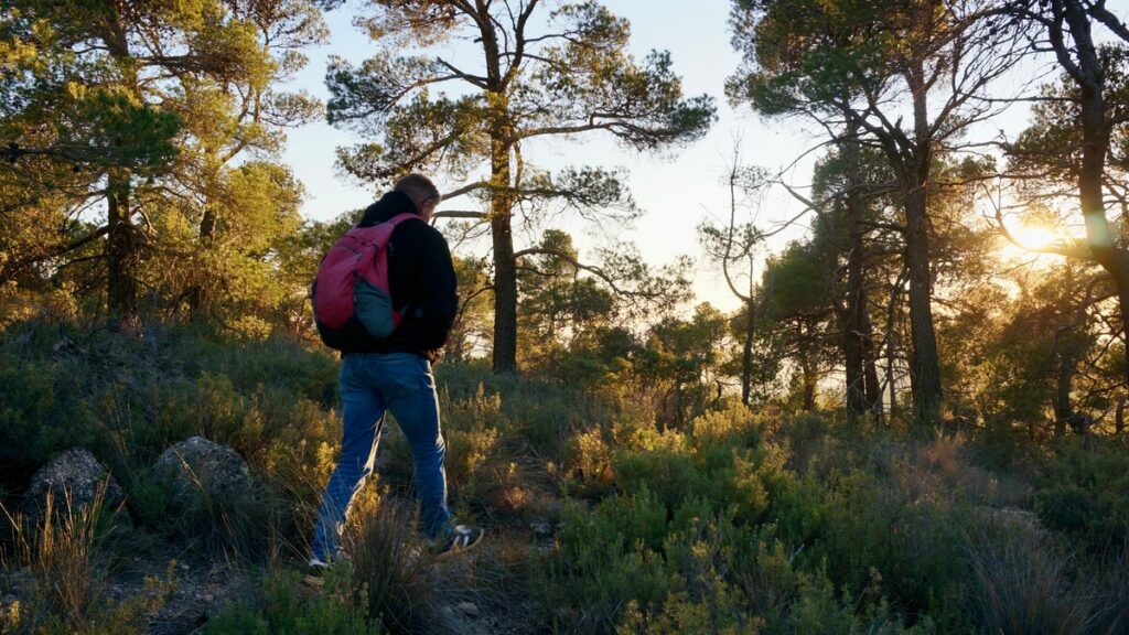 Man hiking through a forested natural area in Murcia