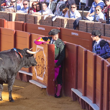 Bullfighter performing in a traditional Spanish bullfighting arena