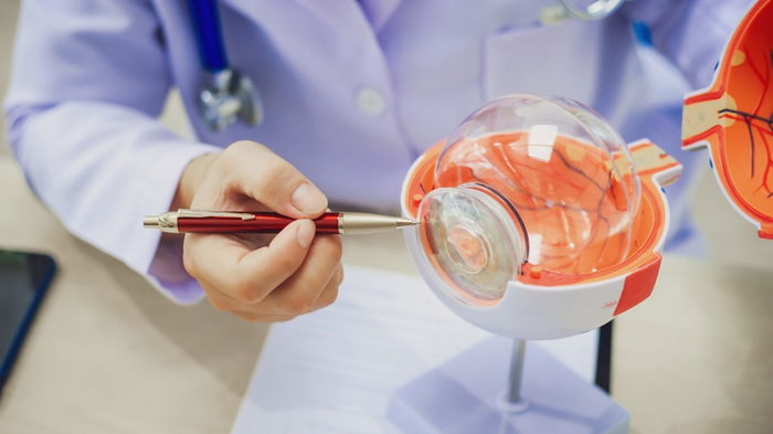 An ophthalmologist explains eye diseases using an eye model at an examination table in a hospital examination room.