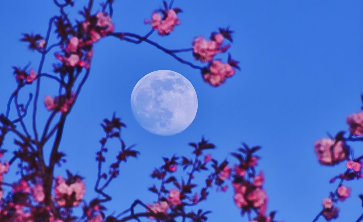 La primavera ha comenzado oficialmente en España: ¿qué tiempo nos espera en los próximos días?