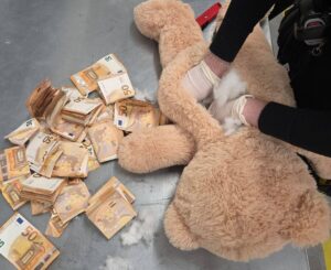 money in teddy