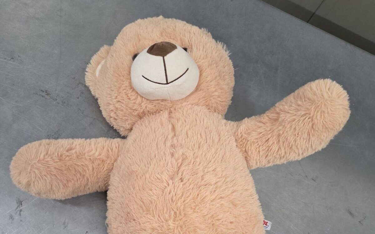 Dhl Worker Nabs Teddy Bear Smuggling Surprising Stuffing
