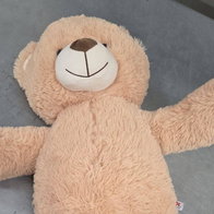 Shifty-looking teddy bear.