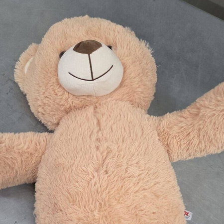 Shifty-looking teddy bear.