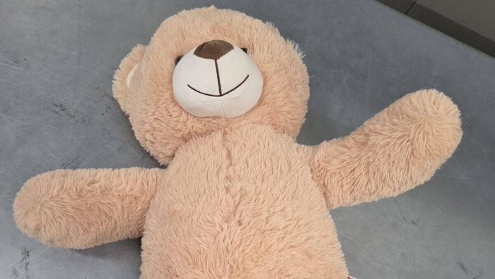 Shifty-looking teddy bear.