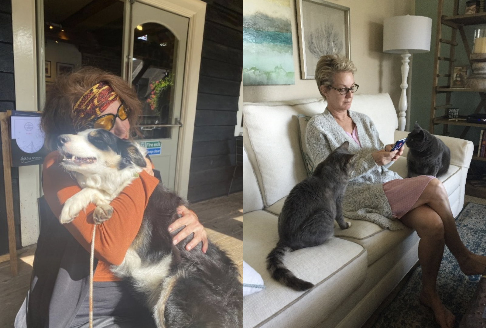 We’re Looking For New House-sitters At Housesitmatch