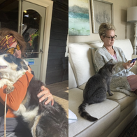 Could you care for pets and a home as a HouseSitMatch house-sitter?