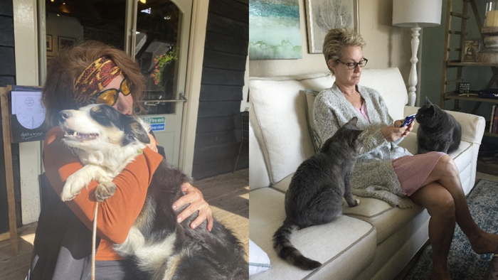 Could you care for pets and a home as a HouseSitMatch house-sitter?