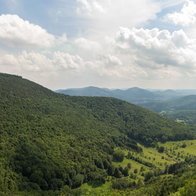 Panoramic landscape view of the Palatinate Forest German