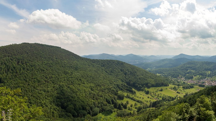 Panoramic landscape view of the Palatinate Forest German