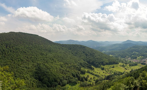Panoramic landscape view of the Palatinate Forest German