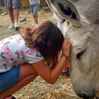 guests get to meet and learn about the rescued animals