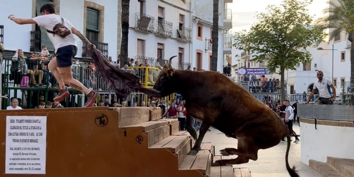 Man Seriously Injured After Fall At Jávea Bull-fighting Festival, Following String Of National Incidents