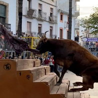 Happened during the annual Bous al Carrer festivities