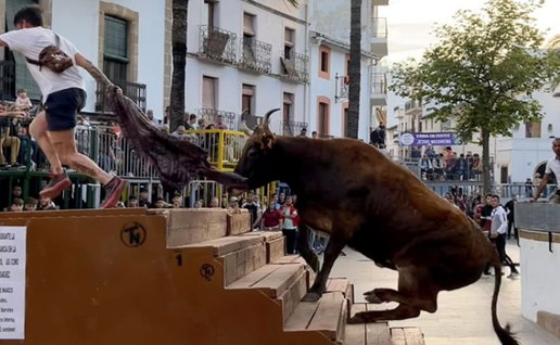 Happened during the annual Bous al Carrer festivities