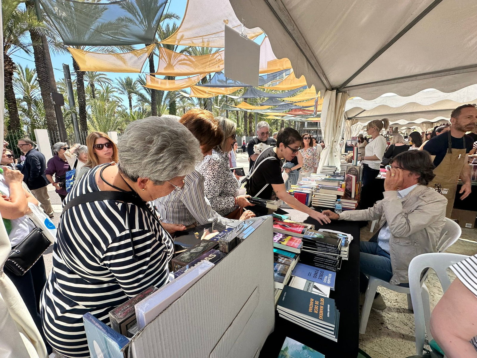 Elche Book Fair Draws Record Crowds And Boosts Sales