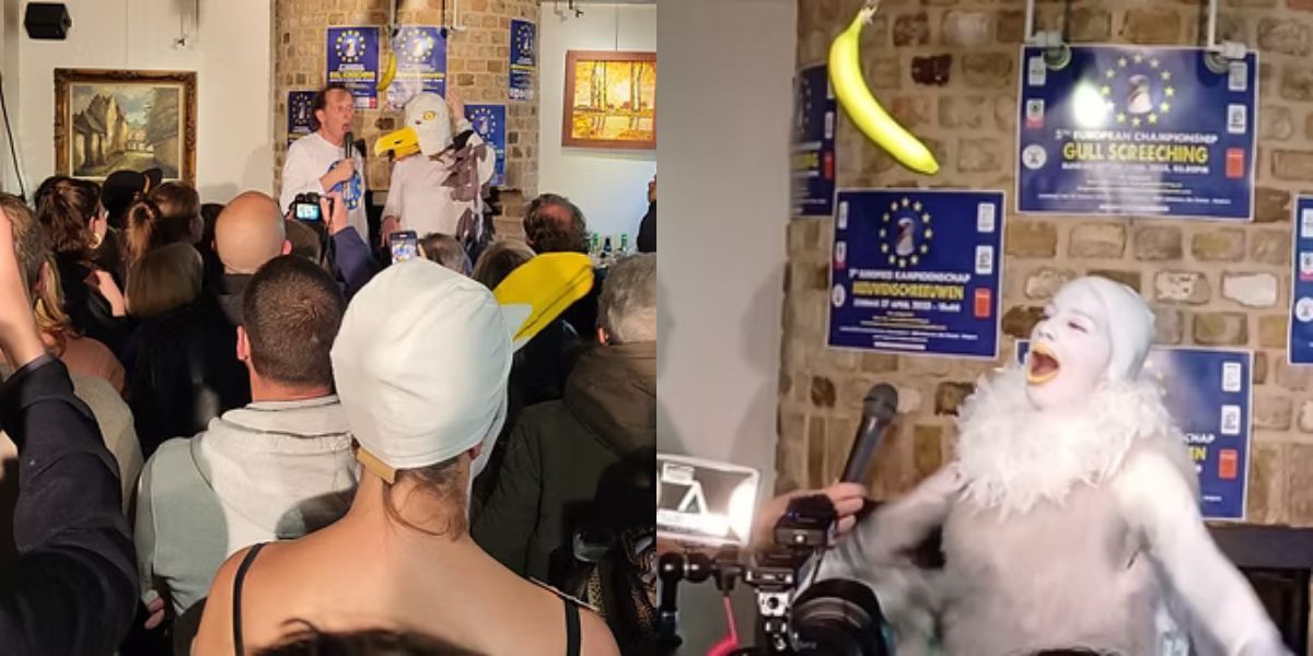 Europe’s Strangest Competition? Seagull Screeching Championship Takes Over Belgian Coast