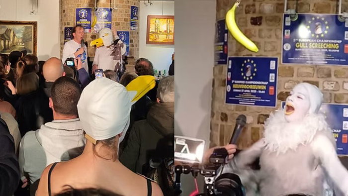 Contestants must shriek like a seagull to win