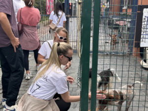 falling in love with dogs