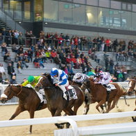 View of a racetrack with horses & riders
