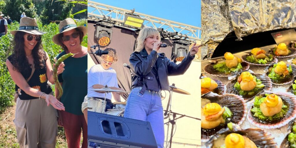 Benitatxell closes Mitjafava Fest 2026 with record crowds and renewed pride