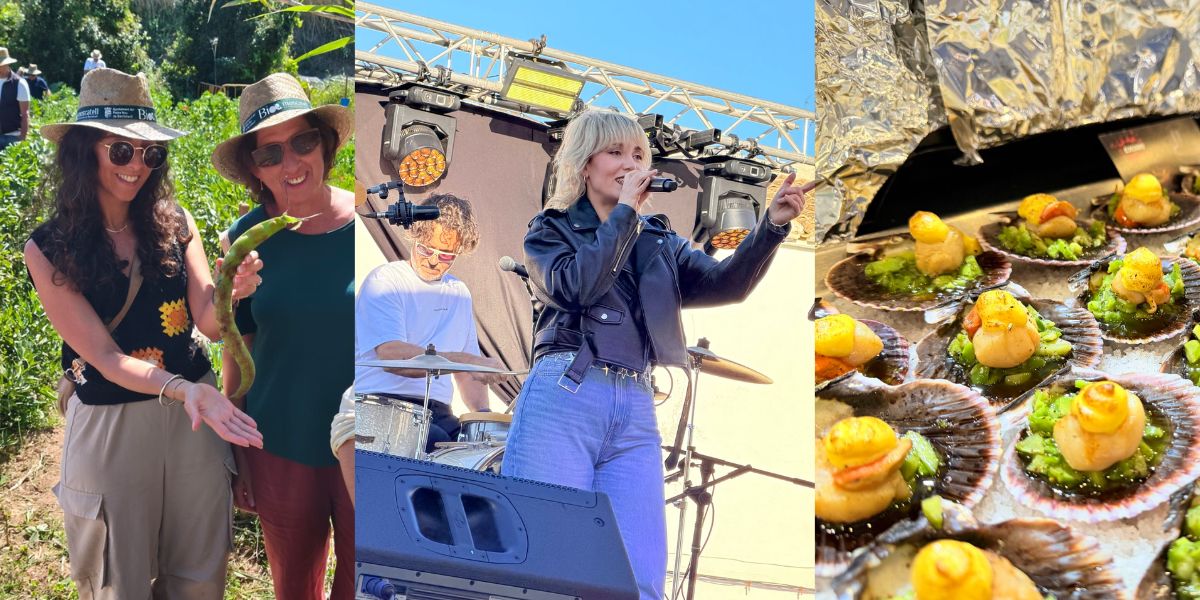 Benitatxell Closes Mitjafava Fest 2026 With Record Crowds And Renewed Pride