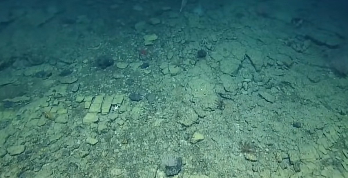 Scientists Spot ‘yellow Brick Road’ Deep Under The Ocean And The Explanation Is Even More Surprising