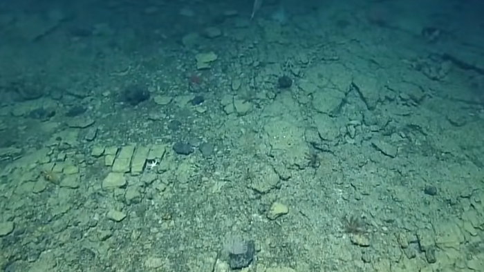 Unusual brick-like rock formation on the deep ocean floor near Hawaii