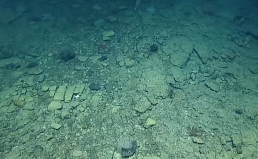 Unusual brick-like rock formation on the deep ocean floor near Hawaii