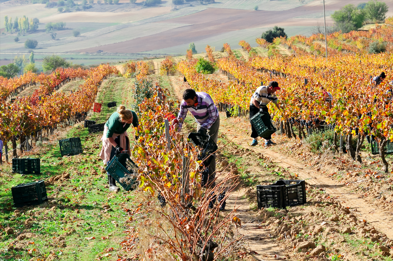 Spain Sees Historic Rise In Foreign Workers As Labour Market Expands