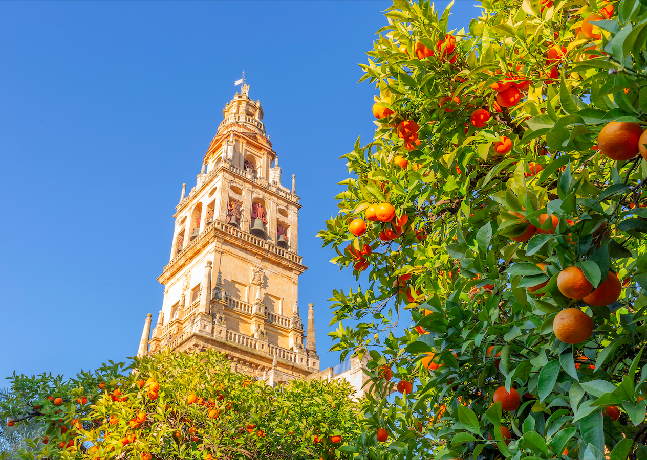 Sevilla Draws Global Attention As Centre For Learning Spanish