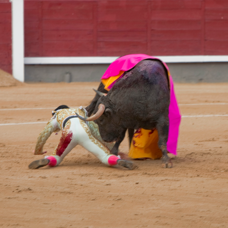 Matador being attacked by a bull in a bullring